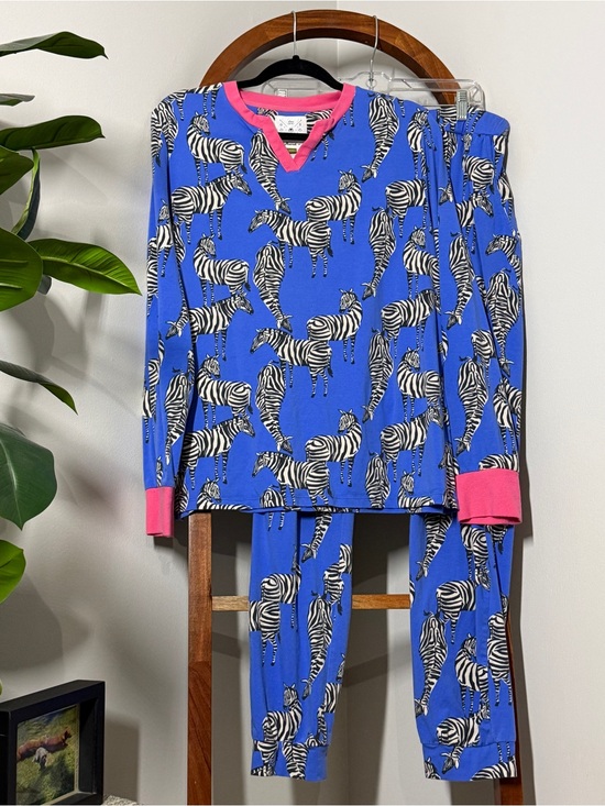 ANORAK Other - Anorak XXL Blue Zebra Print Long Sleeve Pajama Set